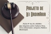 Propostas para Cultura Municipal são debatidas e aprovadas pelo Plenário